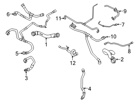 2021 BMW X6 Radiator & Components HOSE UPSTREAM OF COOLANT RAD Diagram for 17128071766
