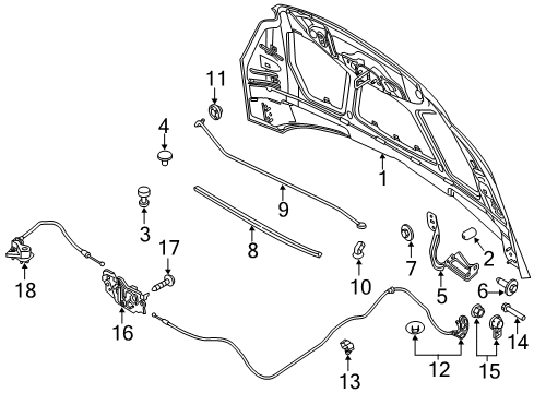 2017 Ford Focus Hood & Components Front Seal Diagram for CM5Z-16B990-A