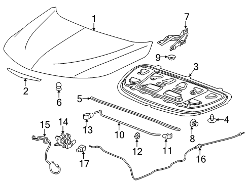 2017 Chevrolet Malibu Hood & Components Hood Diagram for 23134824