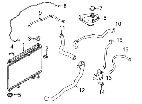 2015 Ford Fiesta Radiator & Components Overflow Hose Diagram for C1BZ-8B081-H