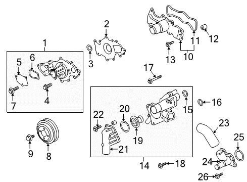 2017 Ford F-150 Water Pump Outlet Hose Diagram for HL3Z-8K576-A