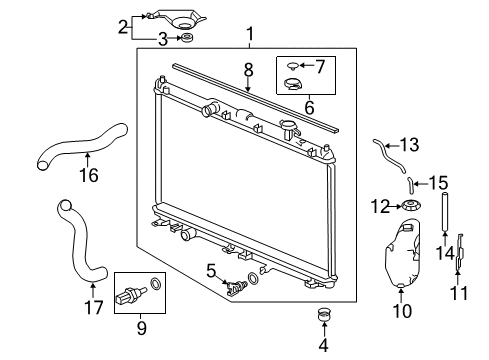 2014 Honda Accord Radiator & Components Hose, Water (Lower) Diagram for 19502-5G2-A01