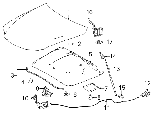 2020 Lexus IS350 Hood & Components Cable Assembly, Hood Loc Diagram for 53630-53071