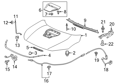 2020 Honda Civic Hood & Components Lock Assembly, Hood Diagram for 74120-TGH-A01