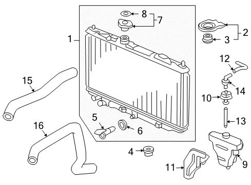 2005 Honda Accord Radiator & Components Hose, Water (Lower) Diagram for 19502-RCJ-A00