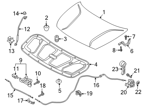 2019 Kia Niro EV Hood & Components Cap-Nut Diagram for 65559-1S200