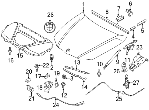 2010 BMW 135i Hood & Components Reinforcement Support Lock Diagram for 51647123405