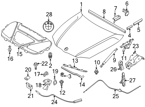 2010 BMW 135i Hood & Components Hood Catch Diagram for 51237209009