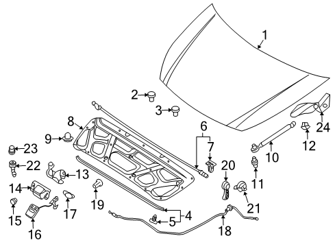 2010 Kia Sedona Hood & Components Cover-Hood Latch Diagram for 811954D000