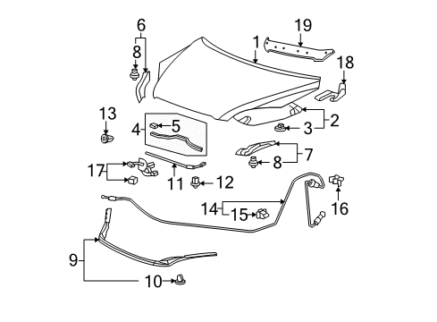 2007 Honda CR-V Hood & Components Rubber, R. Hood Seal Diagram for 74146-SWA-A00