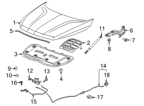 2022 Buick Enclave Hood & Components Insulator Diagram for 84542958