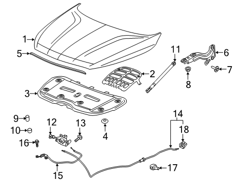 2019 Buick Enclave Hood & Components Hood Diagram for 84045072