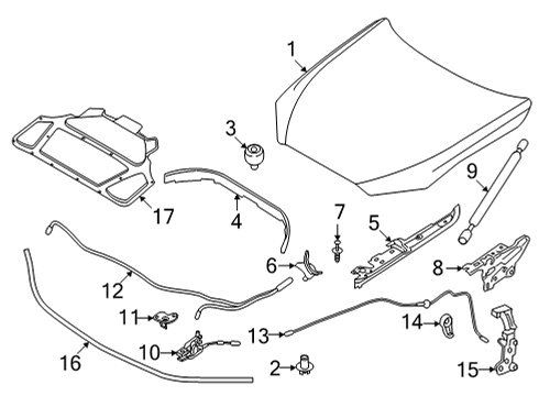 2021 BMW M440i xDrive Hood & Components SOUND INSULATING ENGINE HOOD Diagram for 51487434845