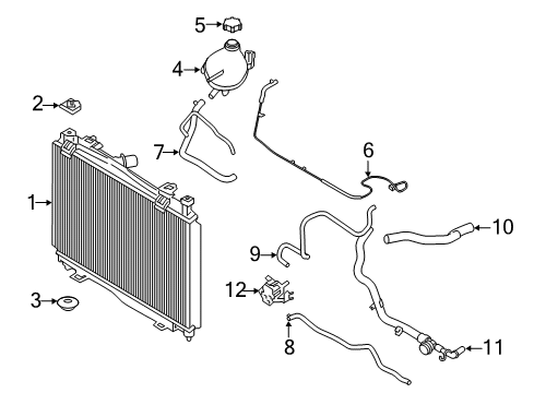 2021 Ford EcoSport Radiator & Components Reservoir Hose Diagram for GN1Z-8C289-A