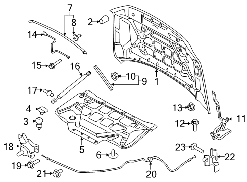 2020 Ford F-150 Hood & Components Latch Diagram for HL3Z-16700-A