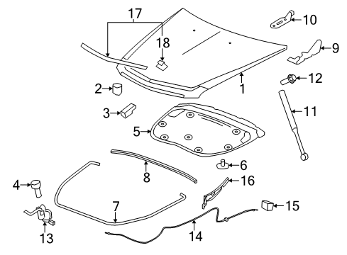 2014 Cadillac CTS Hood & Components, Exterior Trim Hinge Diagram for 15943798