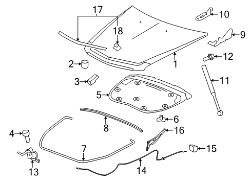 2014 Cadillac CTS Hood & Components, Exterior Trim Front Molding Diagram for 20897985