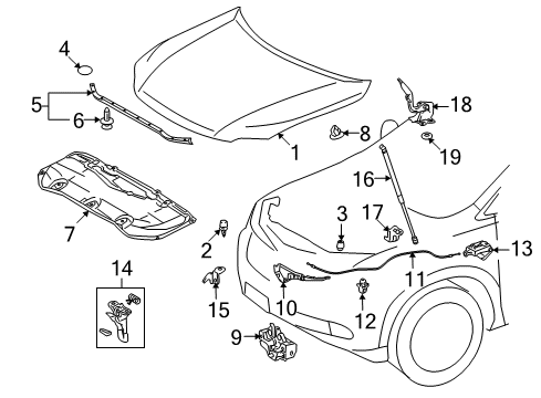 2010 Lexus RX350 Hood & Components Hinge Assembly, Hood, RH Diagram for 53410-0E040