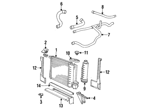 1994 BMW 525i Radiator & Components Radiator Coolant Hose Upper Diagram for 11531720678