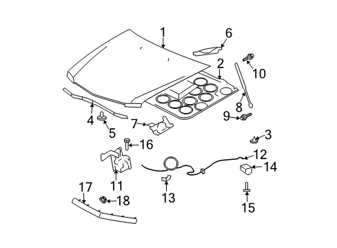 2007 Cadillac CTS Hood & Components, Exterior Trim Lock Reinforcement Diagram for 25740356