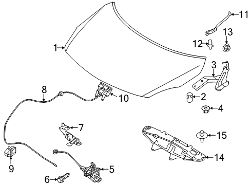 2019 Nissan Versa Hood & Components Male Assy-Hood Lock Diagram for 65601-3VV0A