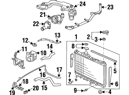 1998 Acura TL Radiator & Components Hose, Water (Lower) Diagram for 19502-PY3-010