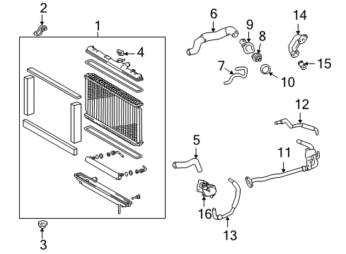 2002 Lexus GS300 Radiator & Components Hose Or Pipe(For Radiator Reserve Tank) Diagram for 16377-46080