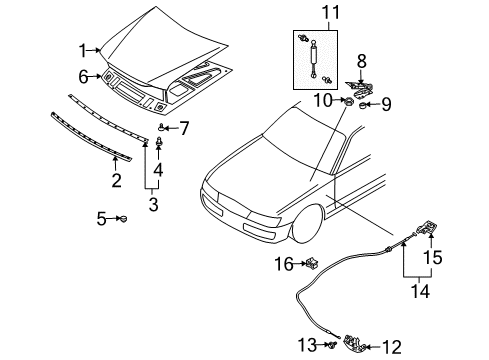 2003 Infiniti M45 Hood & Components Hood Lock Male Assembly Diagram for 65601-CR900