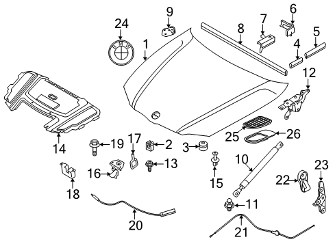 2011 BMW 335i Hood & Components, Exterior Trim Hood-Safety Catch Latch Lock Diagram for 51237241663