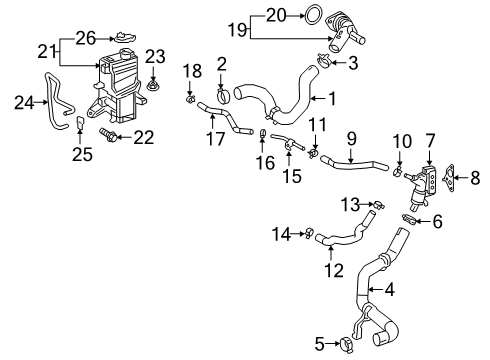 2019 Toyota RAV4 Radiator & Components Lower Hose Diagram for 16571-F0230