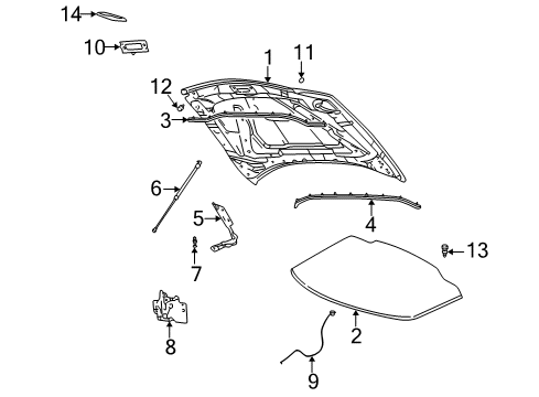 2002 Ford Thunderbird Hood & Components Lift Cylinder Diagram for 1W6Z-16C826-BA