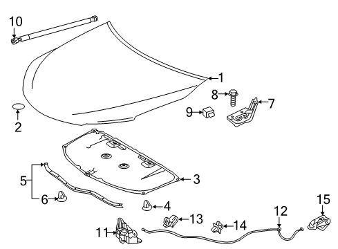 2016 Toyota Camry Hood & Components Hood Diagram for 53301-06160