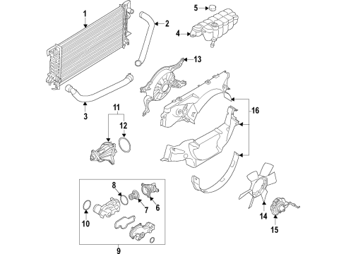 2020 Ford F-150 Cooling System, Radiator, Water Pump, Cooling Fan Fan Clutch Diagram for JL3Z-8A616-A