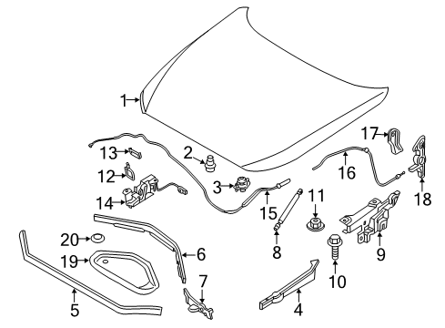 2018 BMW M2 Hood & Components Sound Insulating Engine Hood Diagram for 51487221993