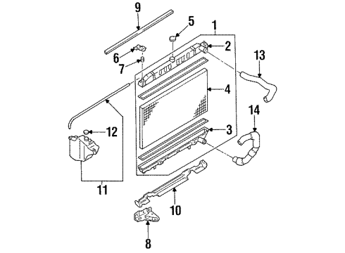 1998 Nissan 240SX Radiator & Components Hose-Radiator Lower Diagram for 21503-70F00