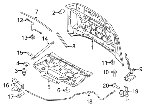 2020 Ford Expedition Hood & Components Front Weatherstrip Diagram for JL1Z-16B990-B