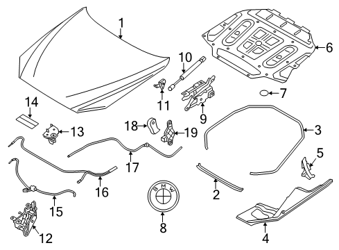 2014 BMW 640i Hood & Components Seal, Engine Bonnet, Side Diagram for 51767211926