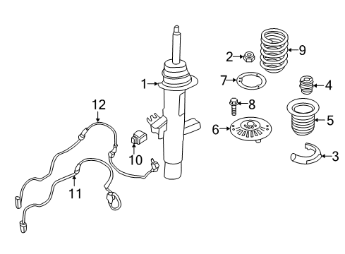 2019 BMW M240i Struts & Components - Front Front Coil Spring Diagram for 31336860628