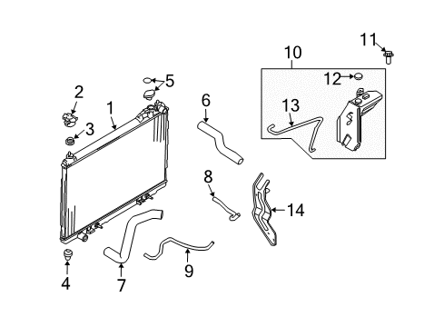 2006 Infiniti FX35 Radiator & Components Hose-Radiator, Lower Diagram for 21503-CG000