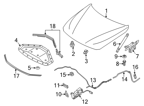 2020 BMW M4 Hood & Components Gas-Filled Strut, Engine-Compartment Lid Diagram for 51238059044