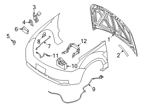 2011 Ford Focus Hood & Components Support Rod Diagram for 8S4Z-16826-A
