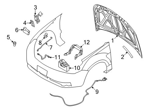 2011 Ford Focus Hood & Components Reinforce Plate Diagram for YS4Z-16A681-AA