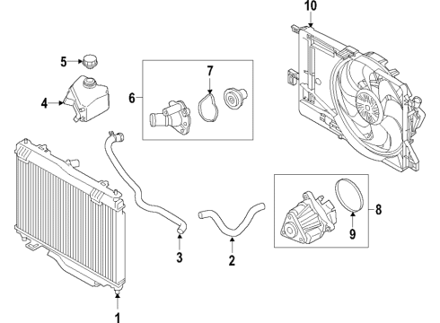 2021 Ford EcoSport Cooling System, Radiator, Water Pump, Cooling Fan Lower Hose Diagram for GN1Z-8286-AA