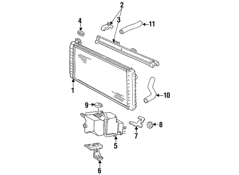 1991 Chevrolet Lumina Radiator & Components Radiator Outlet Hose Diagram for 10145061