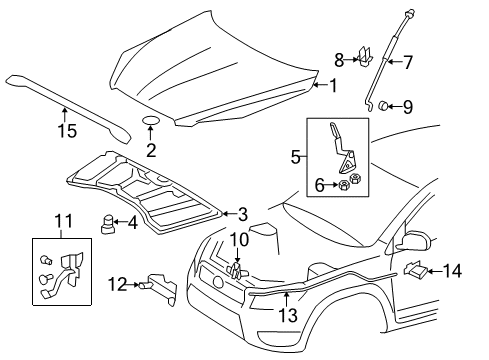 2006 Toyota RAV4 Hood & Components, Exterior Trim Striker Diagram for 64480-42010