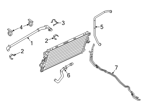 2017 Ford F-250 Super Duty Intercooler Connector Hose Clamp Diagram for BL3Z-8W287-A