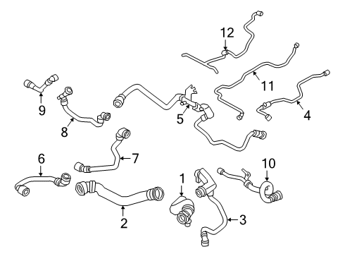 2020 BMW 750i xDrive Hoses, Lines & Pipes HOSE, RADIATOR Diagram for 17127933658