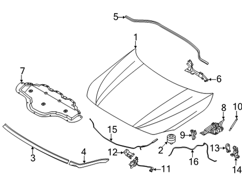 2020 BMW 228i xDrive Gran Coupe Hood & Components FRONT ENGINE HOOD SEALING Diagram for 51767450915