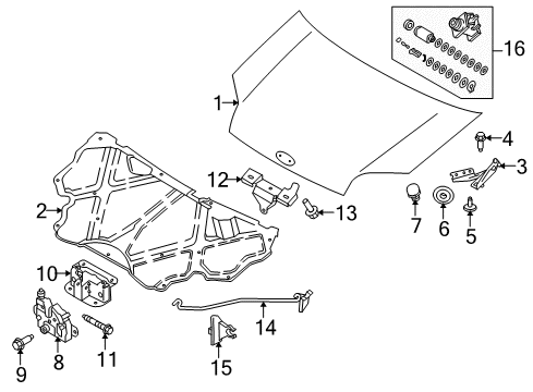 2013 Ford Transit Connect Hood & Components Support Rod Diagram for 8T1Z-16826-A