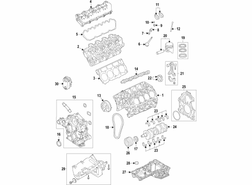 2020 Ford F-350 Super Duty Engine Parts, Mounts, Cylinder Head & Valves, Camshaft & Timing, Variable Valve Timing, Oil Cooler, Oil Pan, Oil Pump, Crankshaft & Bearings, Pistons, Rings & Bearings Valve Springs Diagram for LC3Z-6513-D